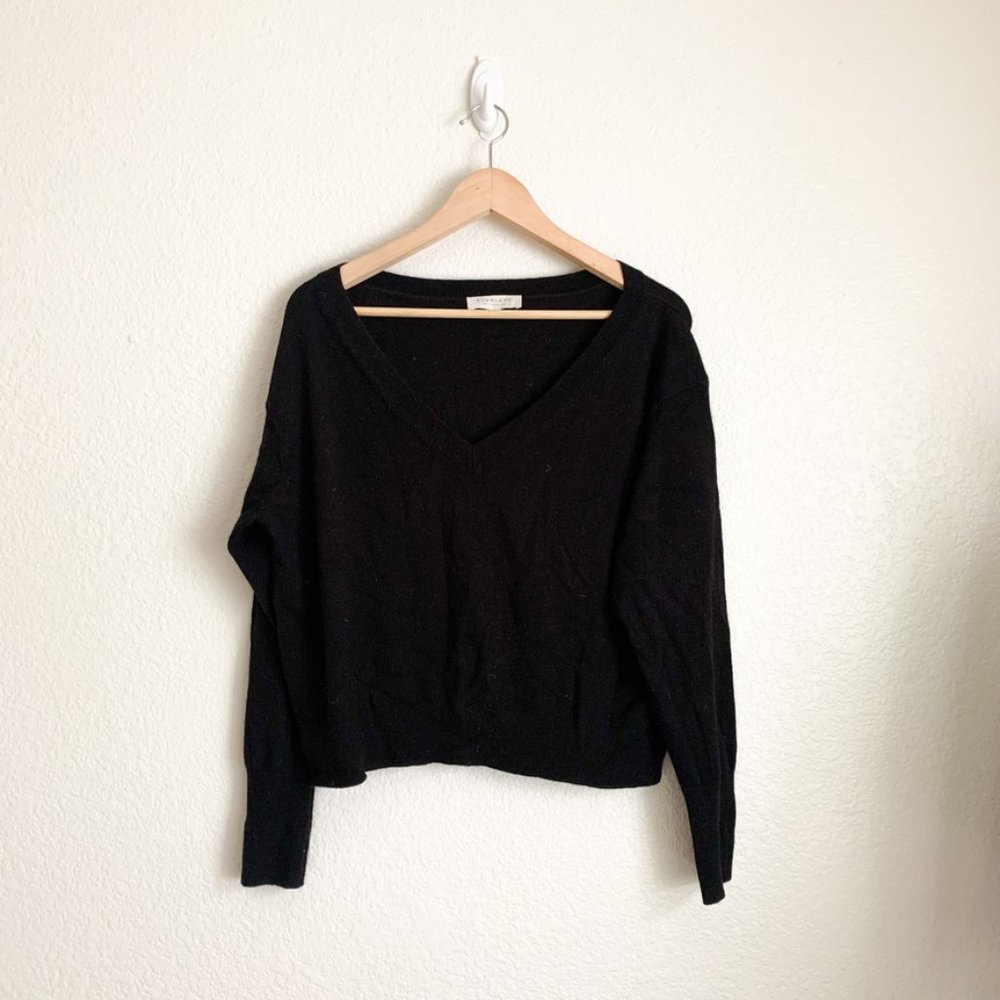 Everlane Cashmere Cropped V Neck